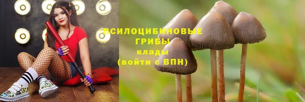кокаин Алзамай