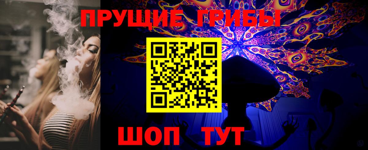 Псилоцибиновые грибы Psilocybine cubensis Коркино
